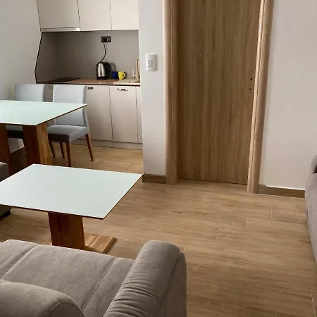 Vila Trnovo Apartment *